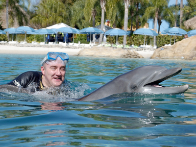dolphin pull